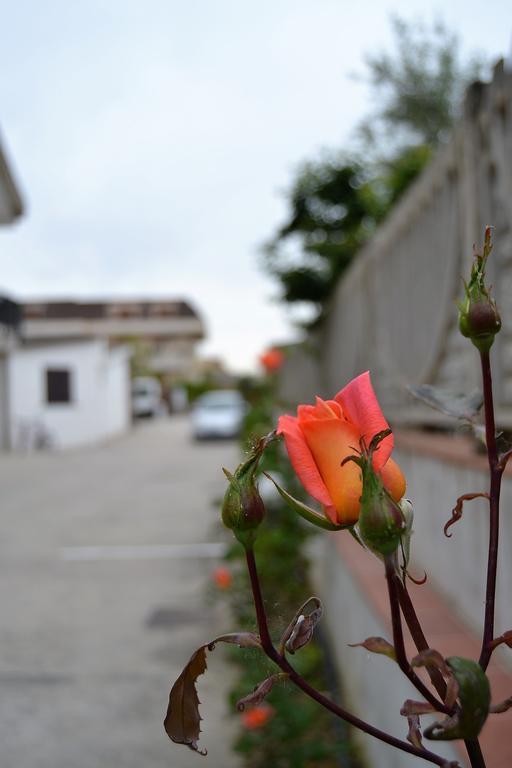 Il Girasole Formia Guesthouse Rooms Экстерьер фото